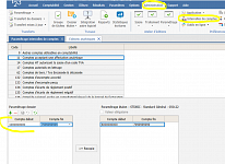 Editions analytiques :  bilan actif / passif par activité