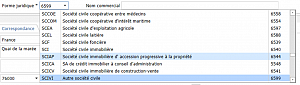 Forme juridique : Autre Société civile (6599)